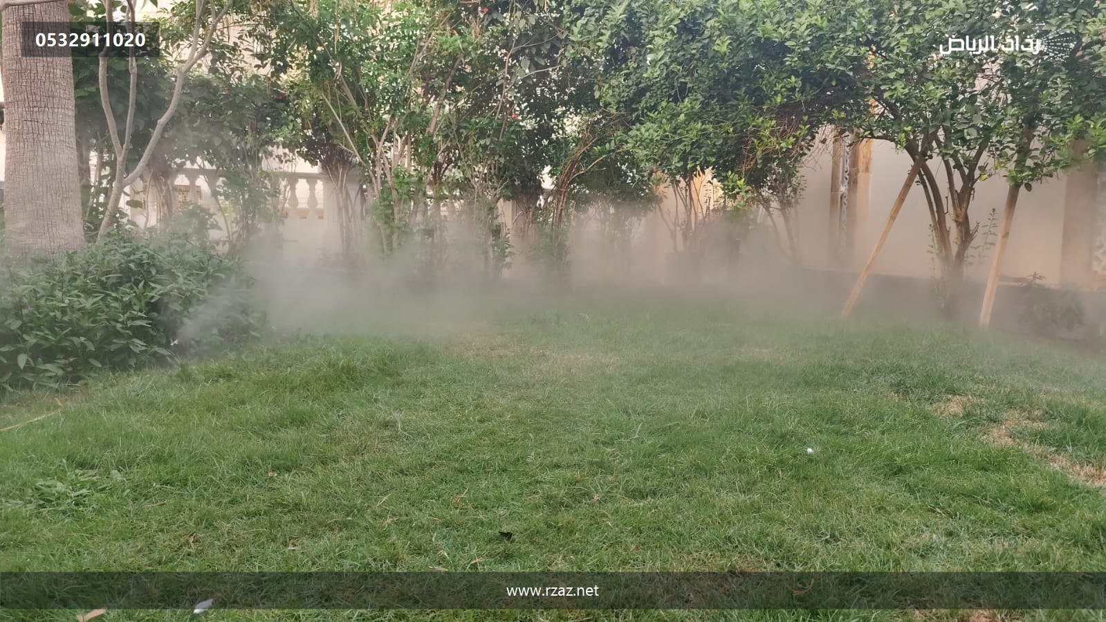 ضباب أرضي يغطي مسطح حديقة أخضر